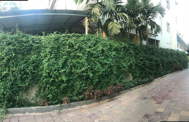 MN Apartment - Foto 33