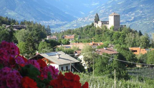 Residence Wiesenhof - Foto 2