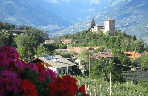 Residence Wiesenhof - Photo 2