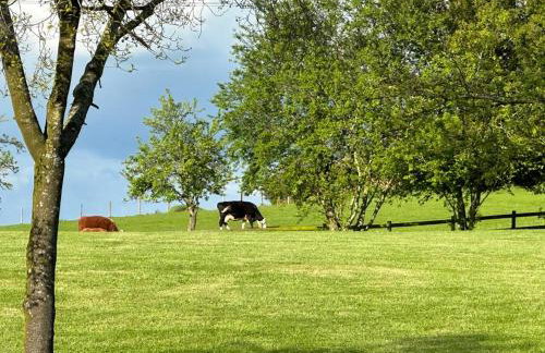 Little Howle Farm Barn - Foto 17