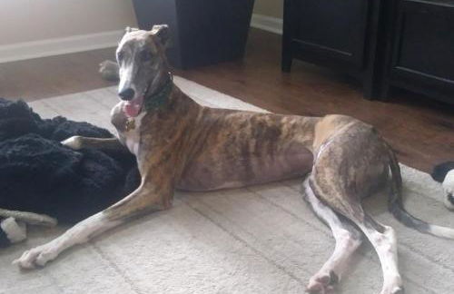 Private Master Suite for Solo Travelers and Pros - Foto 41