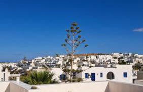 Piperi On The Rocks - Photo 10