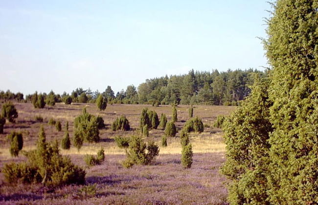 at Bunge Heath Farm - Foto 8