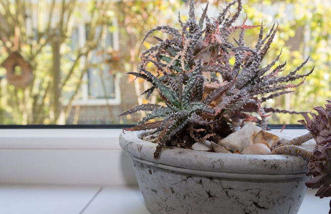 Holiday Home in Zeeland Near the Beach - Foto 24