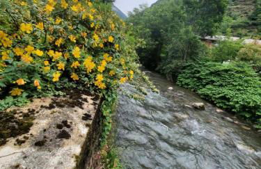 En bord de rivière - Foto 6