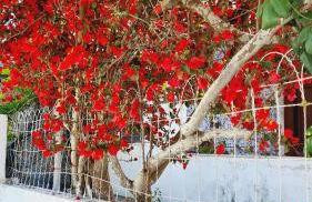 Arrábida Cozy House - Foto 72