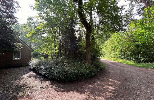 Holiday Home in Zelhem With Garden - Photo 28