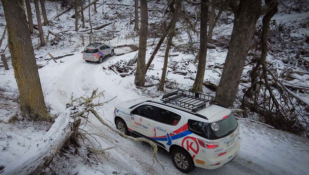Fuoristrada tra gli alberi della Terra del Fuoco