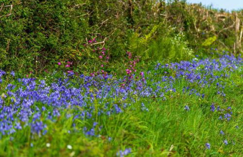Chalet Lodge 2 - Hot Tub by Interhome - Foto 44