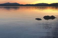 Old Tynribbie House - Comfortable Detached House - Foto 25