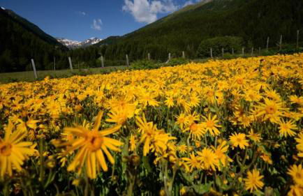 Charmant logis Gérardmer - Photo 37