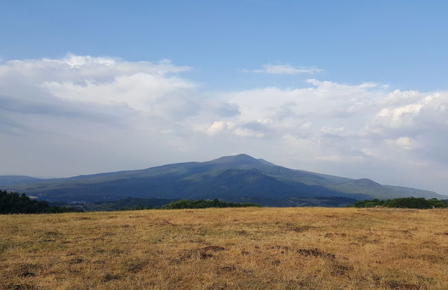 Agriturismo Bio I Rondinelli - Foto 55