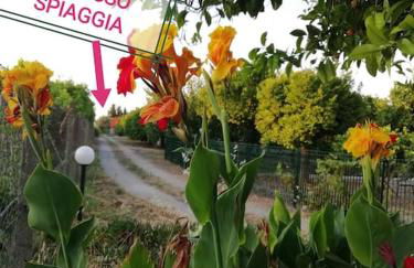 Panoramico, in villa, grande, con ampie terrazze - Foto 25