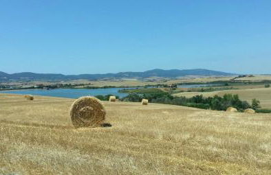 Agriturismo L'impero - Foto 25