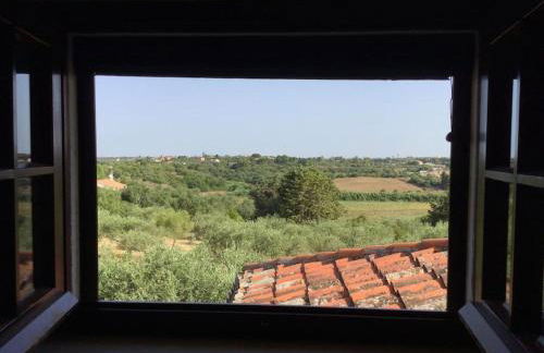 House with a swimming pool - Villa San Giorgio - Photo 9