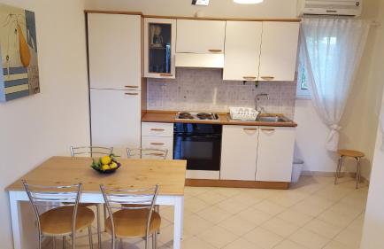 Patras Palm Tree - Foto 12