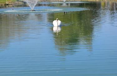 JJs Lodge Ebor - Foto 32