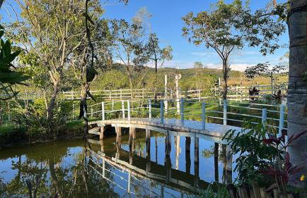 Sítio Veredas Formiga-MG - Foto 8