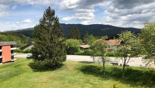 Ferienwohnung im Dreiländereck - Foto 2