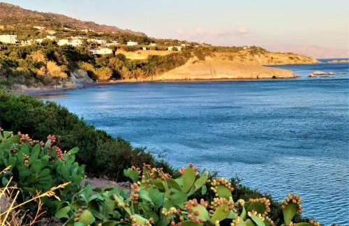 Apartments With Garden View Creta Ierapetra - Foto 44