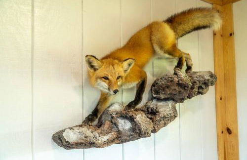 Peaceful Cabin-Breathtaking Views near Branson, MO - Foto 46