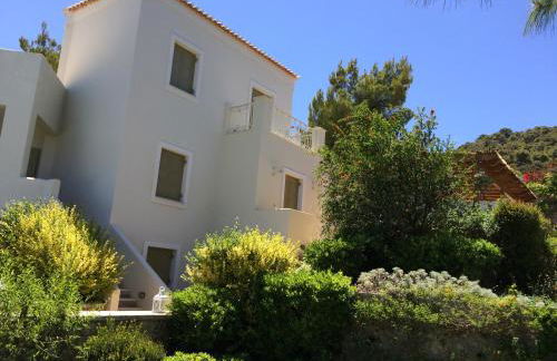 Xenon Estate - Photo 8