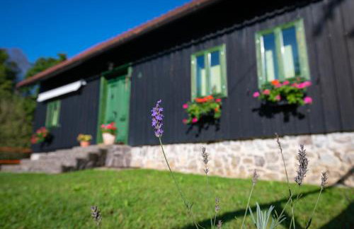 Šajnska Hiža, autentična goranska kuća u prirodi - Foto 22