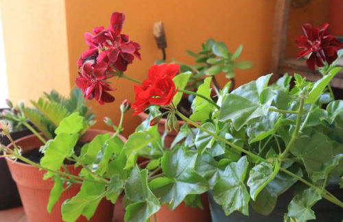 Casa do Alambique - Foto 29