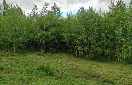 Willa w Brzozach Sznurki Spokojna 1 - Chmielno, Kaszuby, dom, jezioro - Foto 76