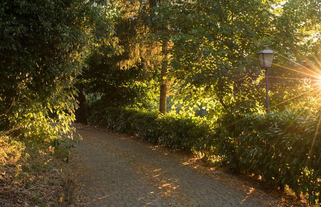 Aparthotel Quinta do Crestelo - Foto 58