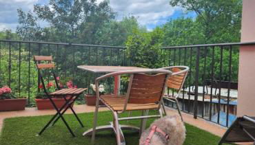 Apartamento Rural Lago Enol - Foto 2