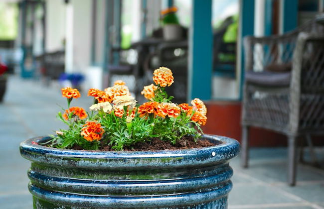 Ingrids Appartement - Photo 49