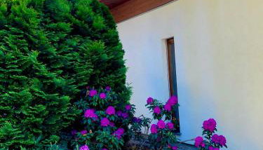 Apartament przy lesie - Foto 2, Garden view