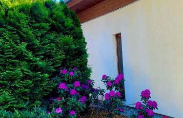 Apartament przy lesie - Foto 2