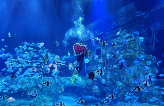 Sunny - Vinhomes Times City Park Hill - Foto 70