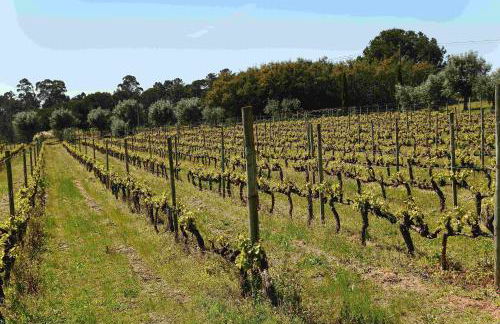 Quinta da Fata - Foto 42