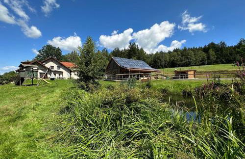 Idyllische Ferienwohnung in der Oberpfalz - Foto 30