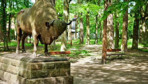 Spalskie Pokoje Gościnne - Foto 3