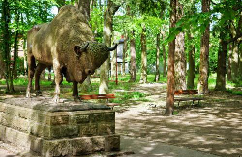 Spalskie Pokoje Gościnne - Foto 3