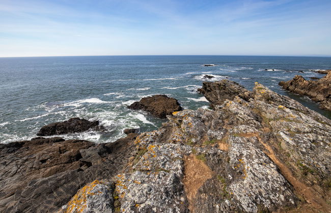 Les Roches - Foto 35