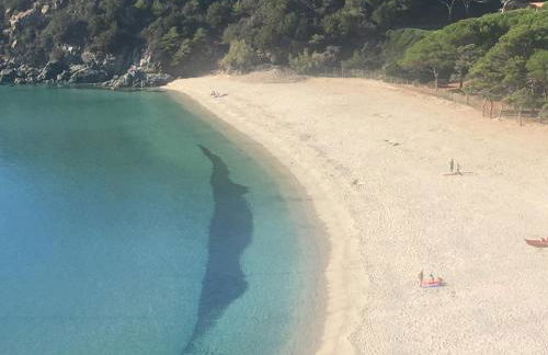 Villa Shanti Yoga & Meditation - Foto 62