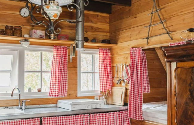 Holiday Home in Ruinerwold With Garden - Photo 6