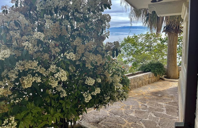 Pietra Mare Apartments - Foto 44