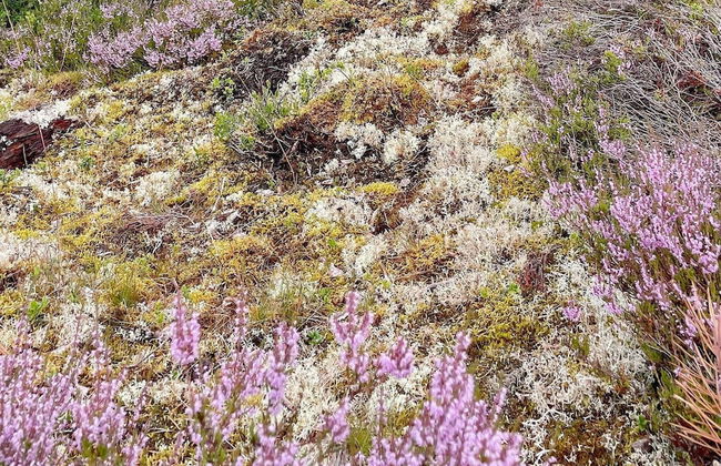 8 Person Holiday Home in Salen - Foto 15