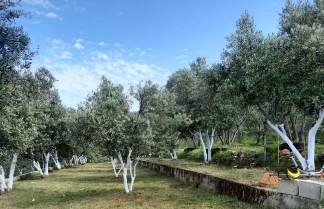 Charming House With Nature View in Fethiye - Foto 38