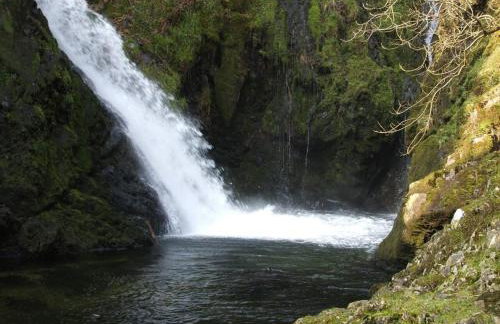 2bed Cabin w/ Parking Near Snowdonia National Park - Photo 19