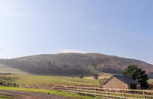 Cheviot Manor - Photo 65