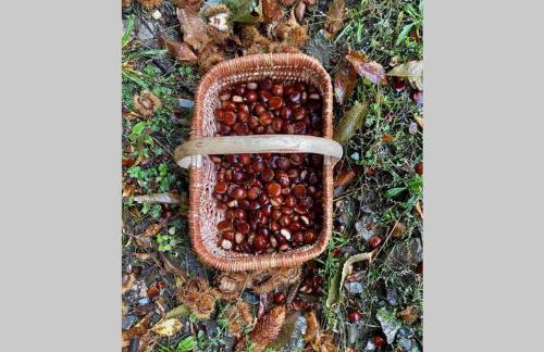 La Pellegrine, Parc national des Cévennes - Foto 53