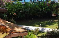 Casa Ilhabela Frente ao Mar Condominio Alto Padrão - Foto 9