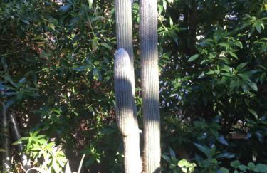 PuntBlanc Residences - Foto 77